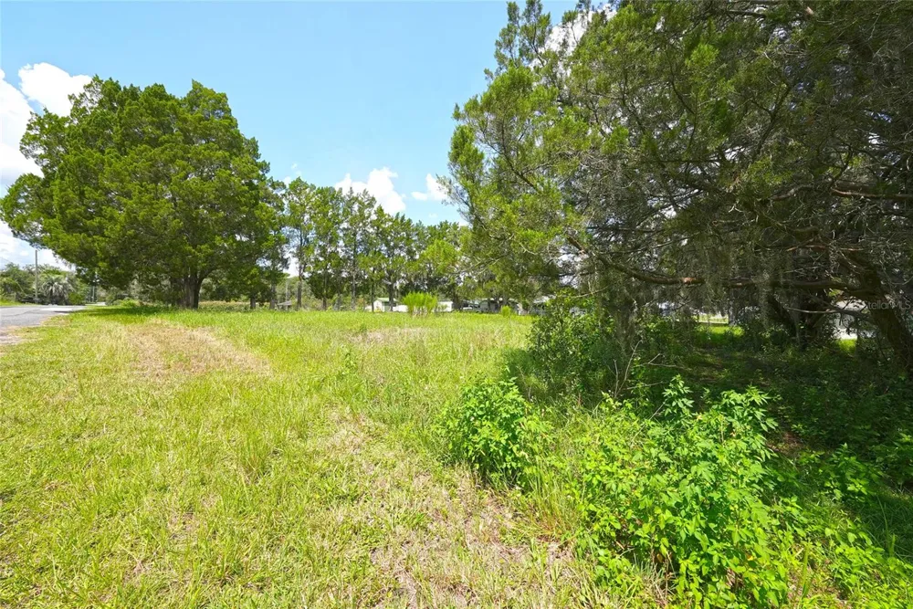 3577 E KIRBY LANE Inverness, FL 34452