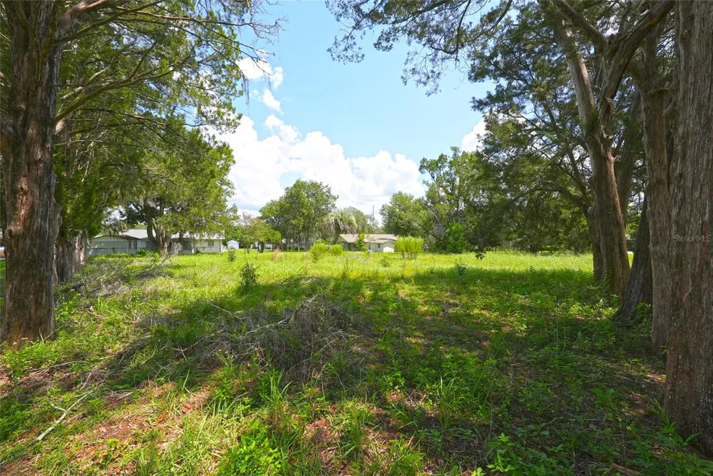 3577 E KIRBY LANE Inverness, FL 34452