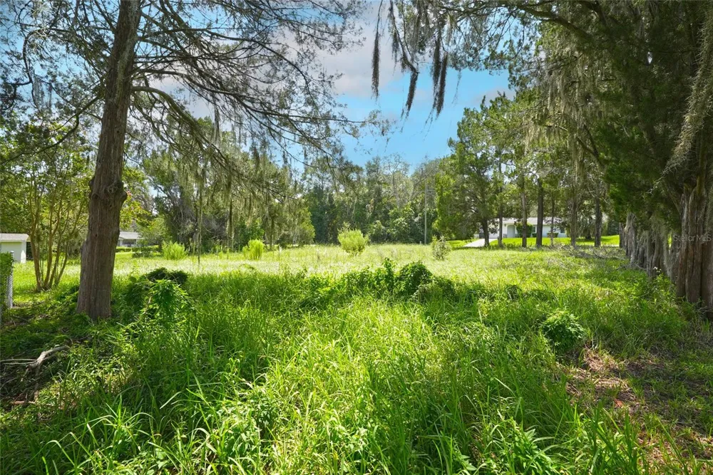 3577 E KIRBY LANE Inverness, FL 34452