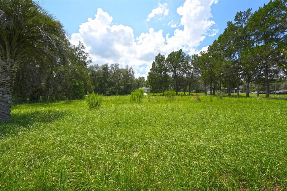3577 E KIRBY LANE Inverness, FL 34452