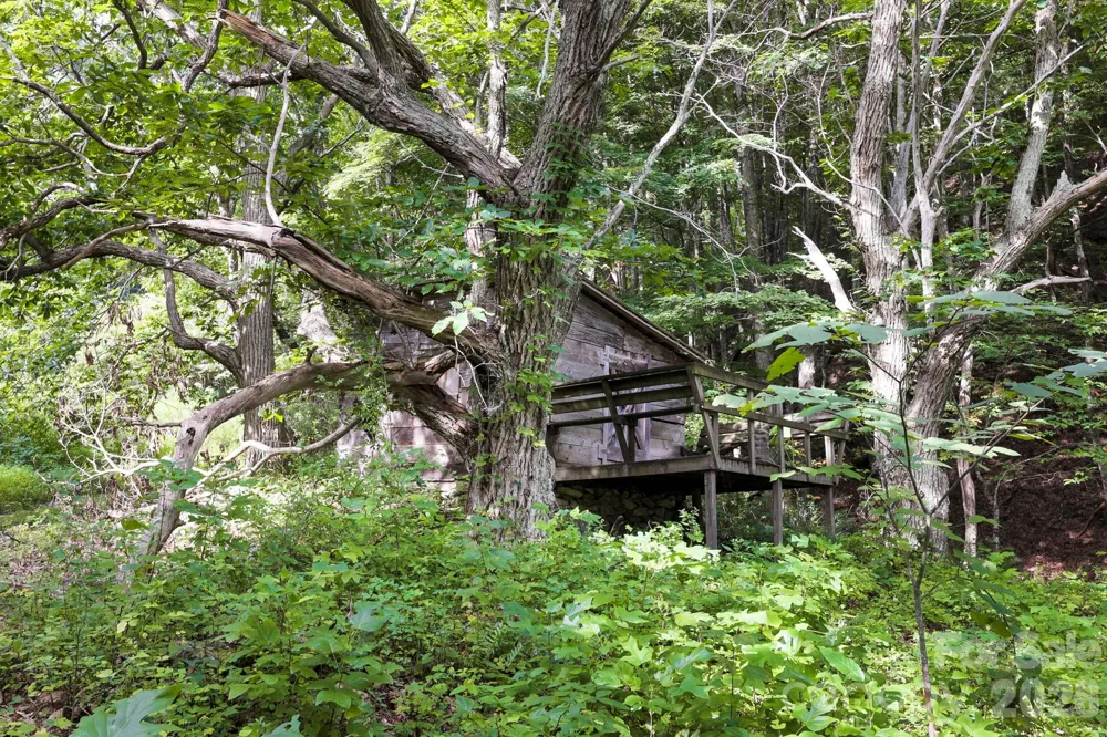 1545 North Fork Road Marshall, NC 28753