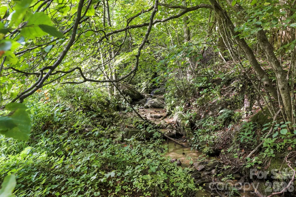 1545 North Fork Road Marshall, NC 28753