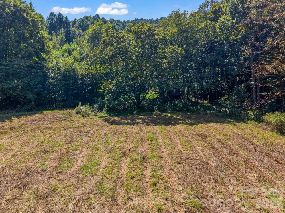 1545 North Fork Road Marshall, NC 28753