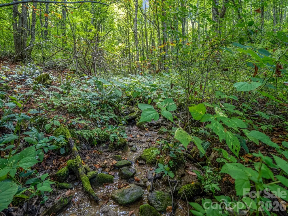1545 North Fork Road Marshall, NC 28753