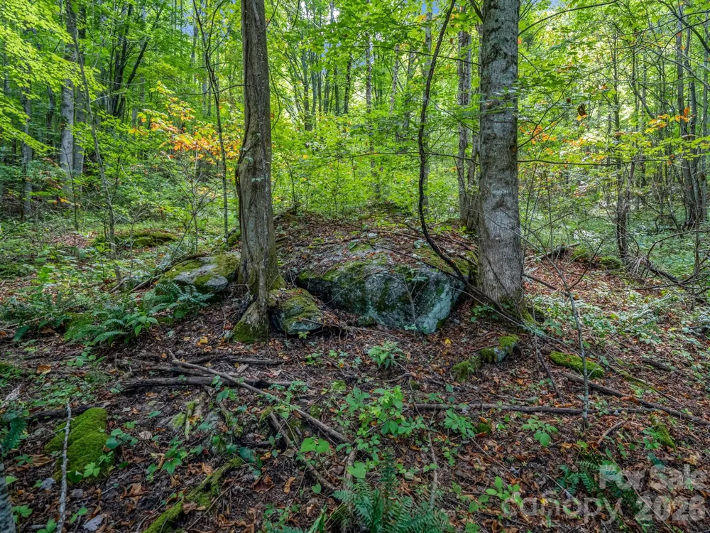 1545 North Fork Road Marshall, NC 28753