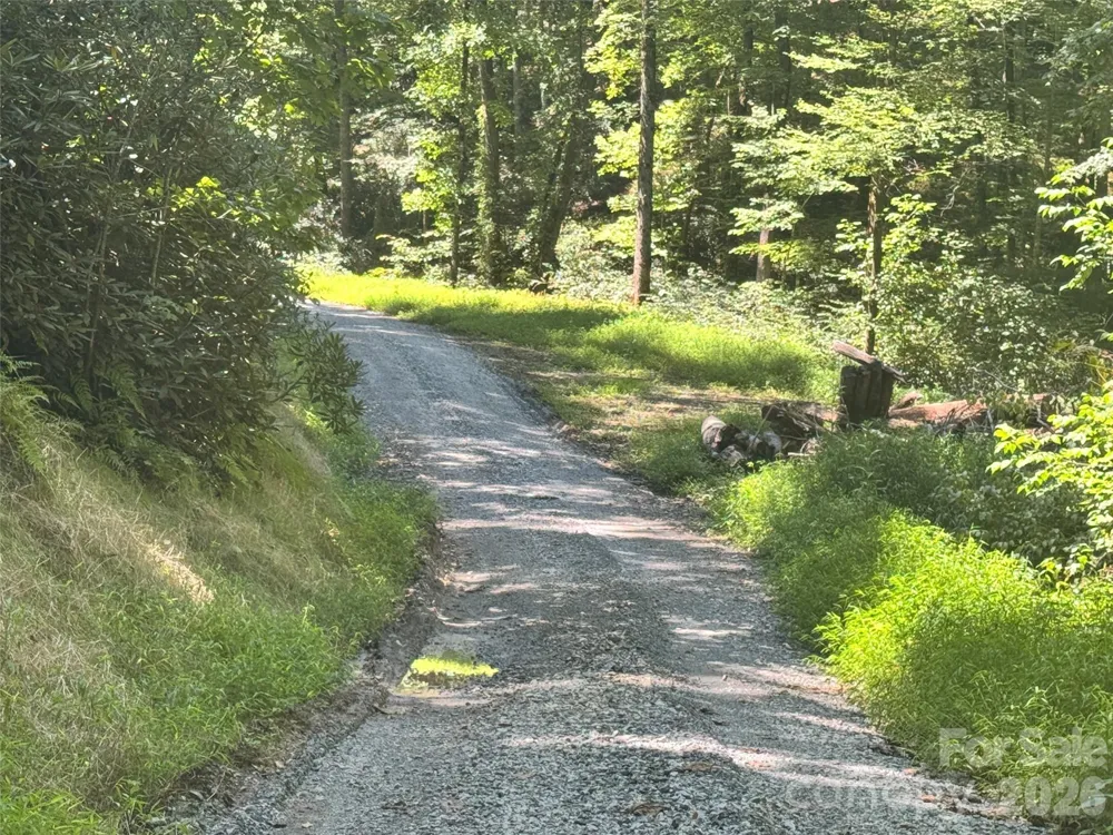 567 Davey Branch Road Horse Shoe, NC 28742