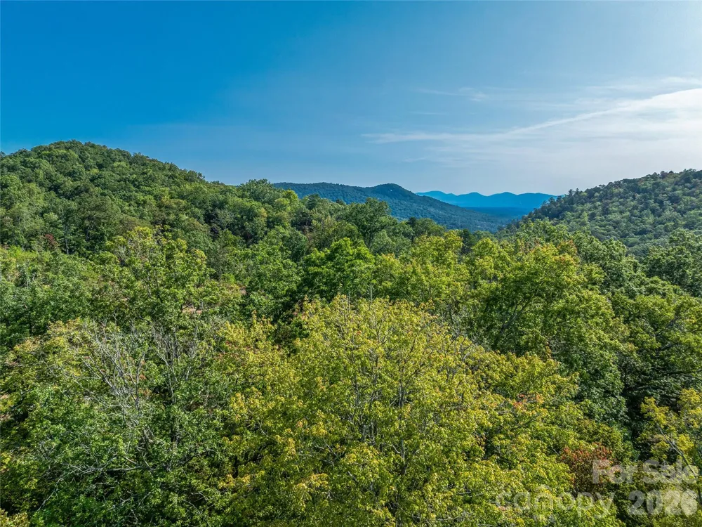 567 Davey Branch Road Horse Shoe, NC 28742