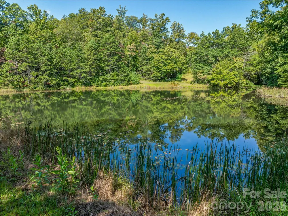 567 Davey Branch Road Horse Shoe, NC 28742