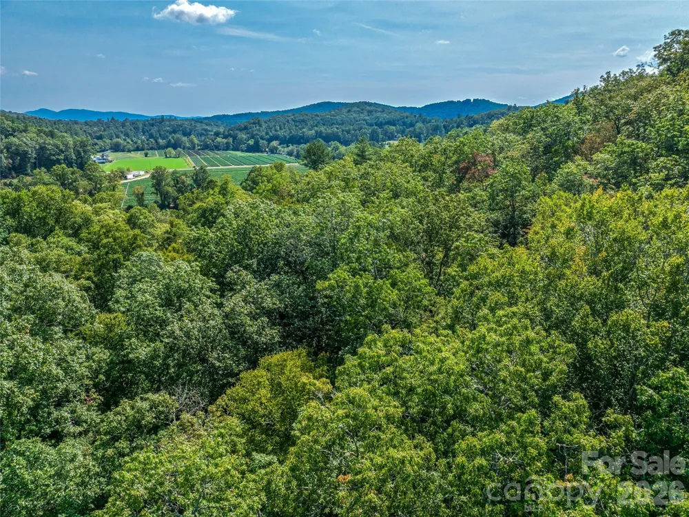 567 Davey Branch Road Horse Shoe, NC 28742