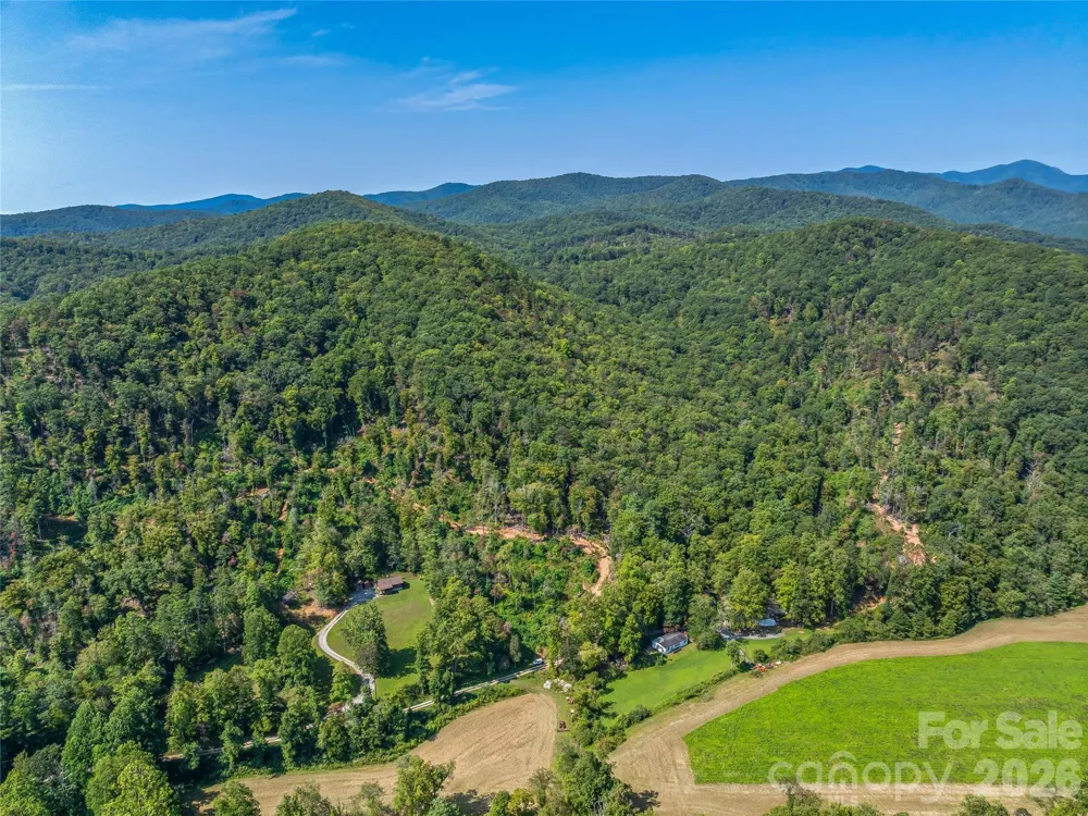 567 Davey Branch Road Horse Shoe, NC 28742