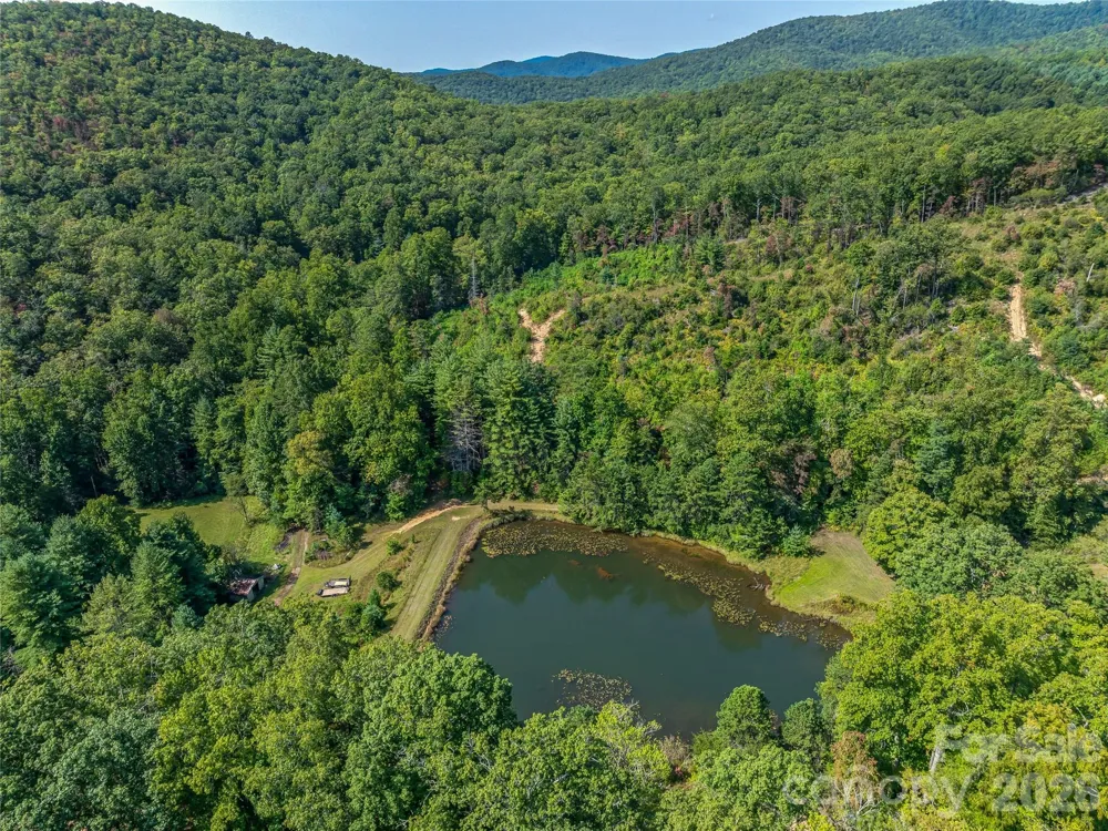 567 Davey Branch Road Horse Shoe, NC 28742