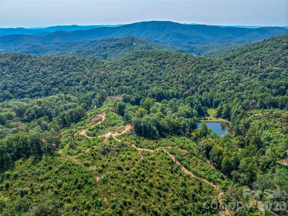 567 Davey Branch Road Horse Shoe, NC 28742