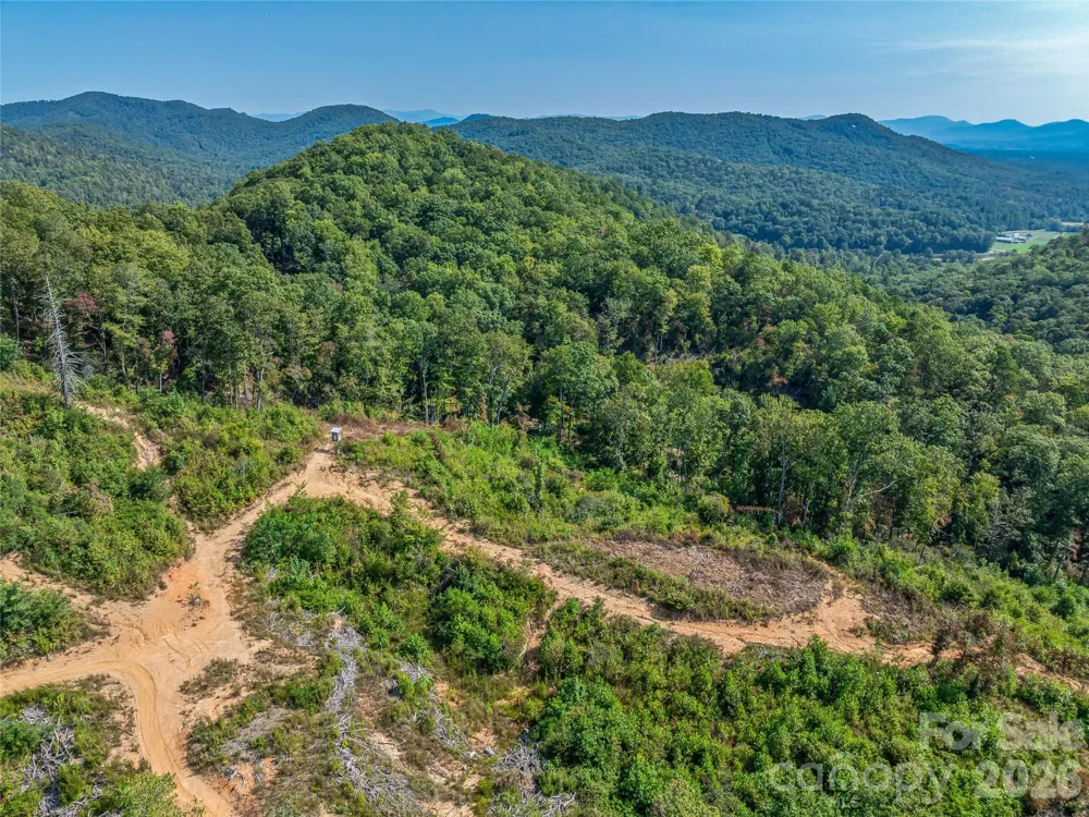 567 Davey Branch Road Horse Shoe, NC 28742