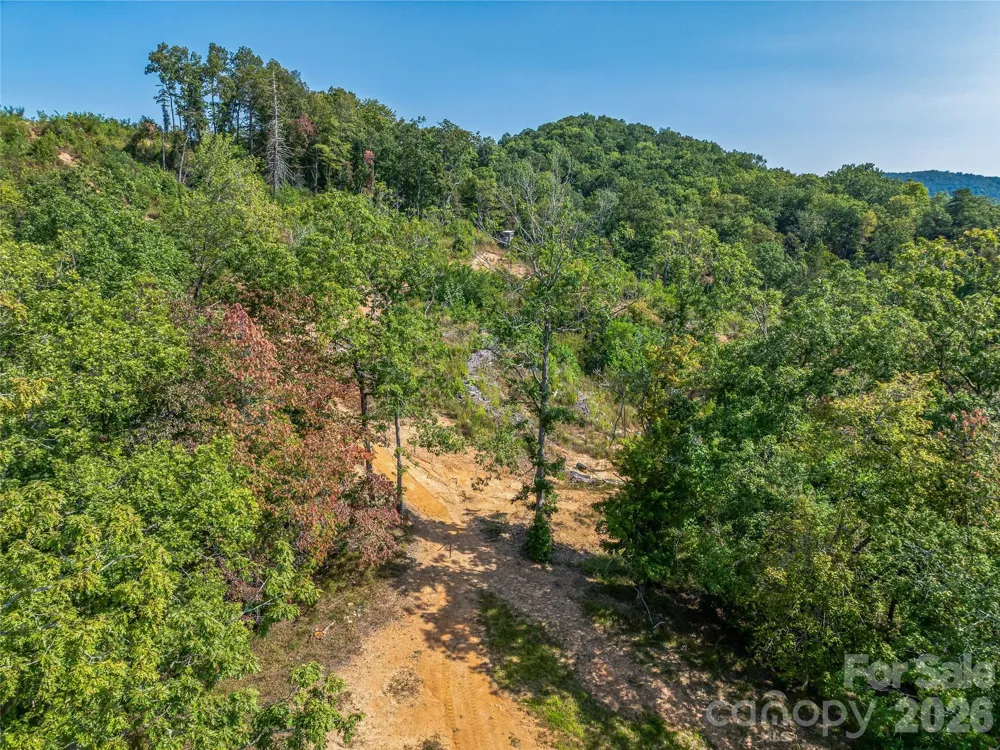 567 Davey Branch Road Horse Shoe, NC 28742