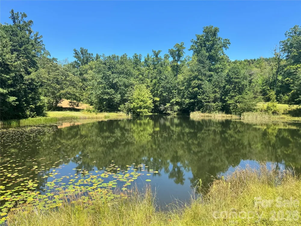 567 Davey Branch Road Horse Shoe, NC 28742