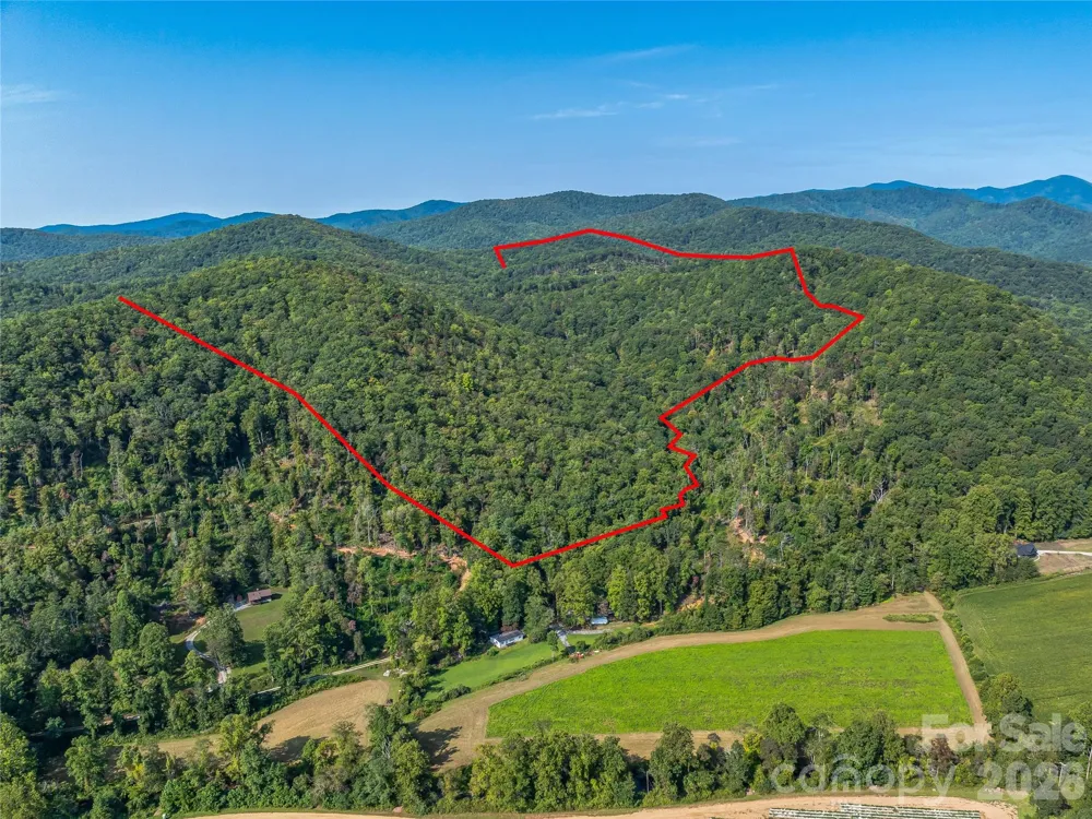 567 Davey Branch Road Horse Shoe, NC 28742