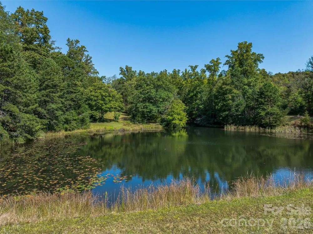 567 Davey Branch Road Horse Shoe, NC 28742