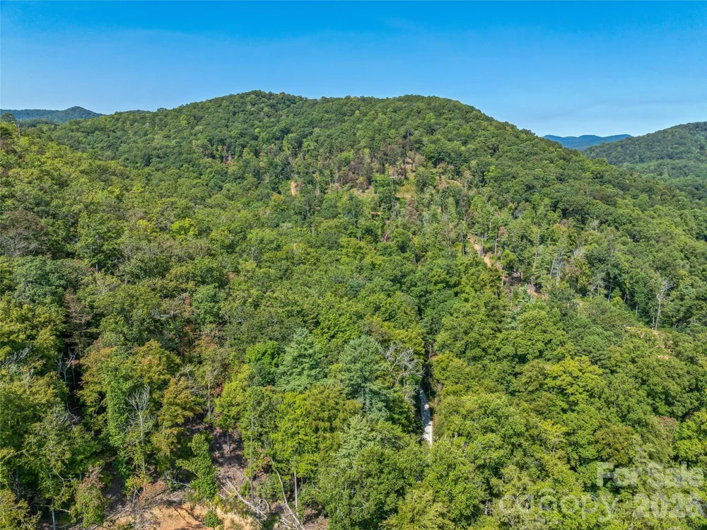 567 Davey Branch Road Horse Shoe, NC 28742