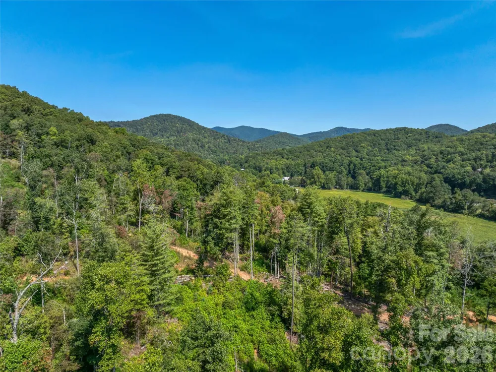 567 Davey Branch Road Horse Shoe, NC 28742