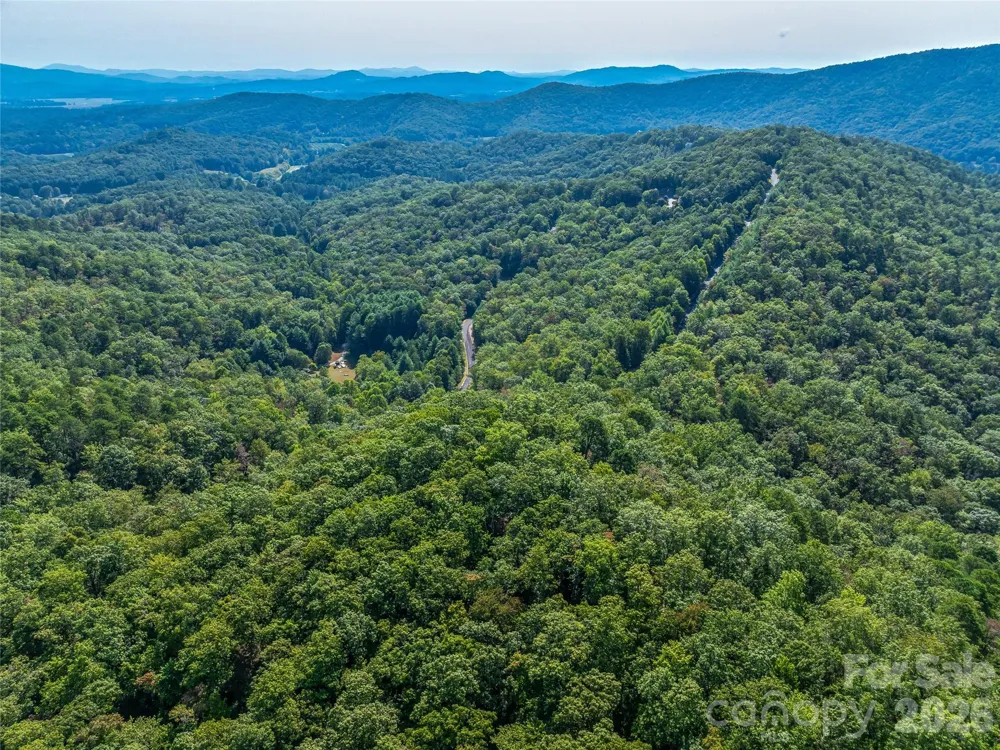 567 Davey Branch Road Horse Shoe, NC 28742