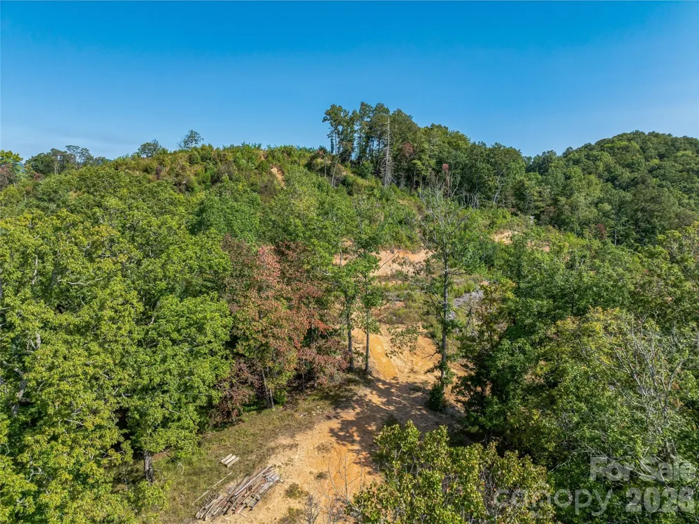 567 Davey Branch Road Horse Shoe, NC 28742
