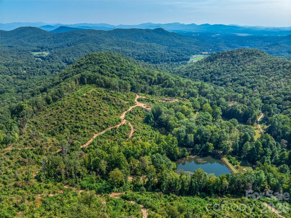567 Davey Branch Road Horse Shoe, NC 28742