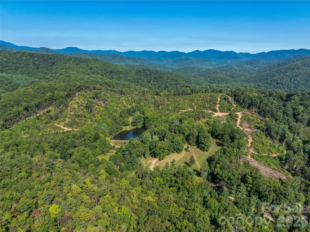 567 Davey Branch Road Horse Shoe, NC 28742