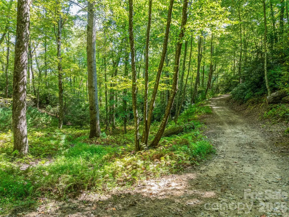 567 Davey Branch Road Horse Shoe, NC 28742