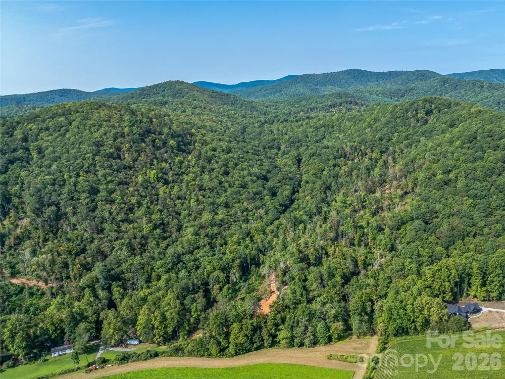 567 Davey Branch Road Horse Shoe, NC 28742