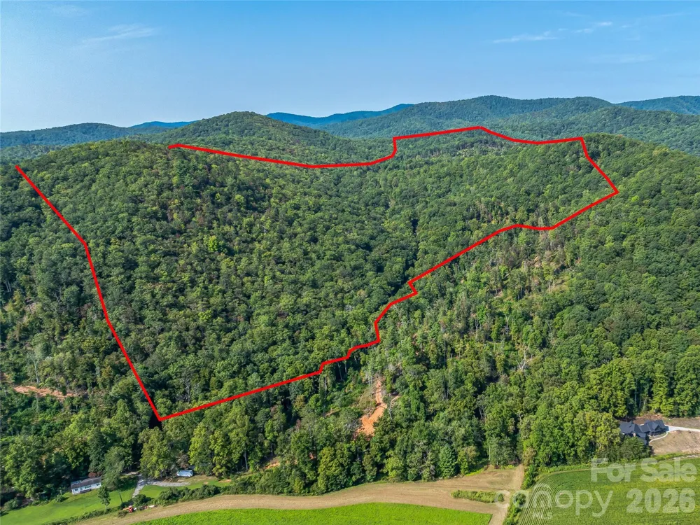 567 Davey Branch Road Horse Shoe, NC 28742