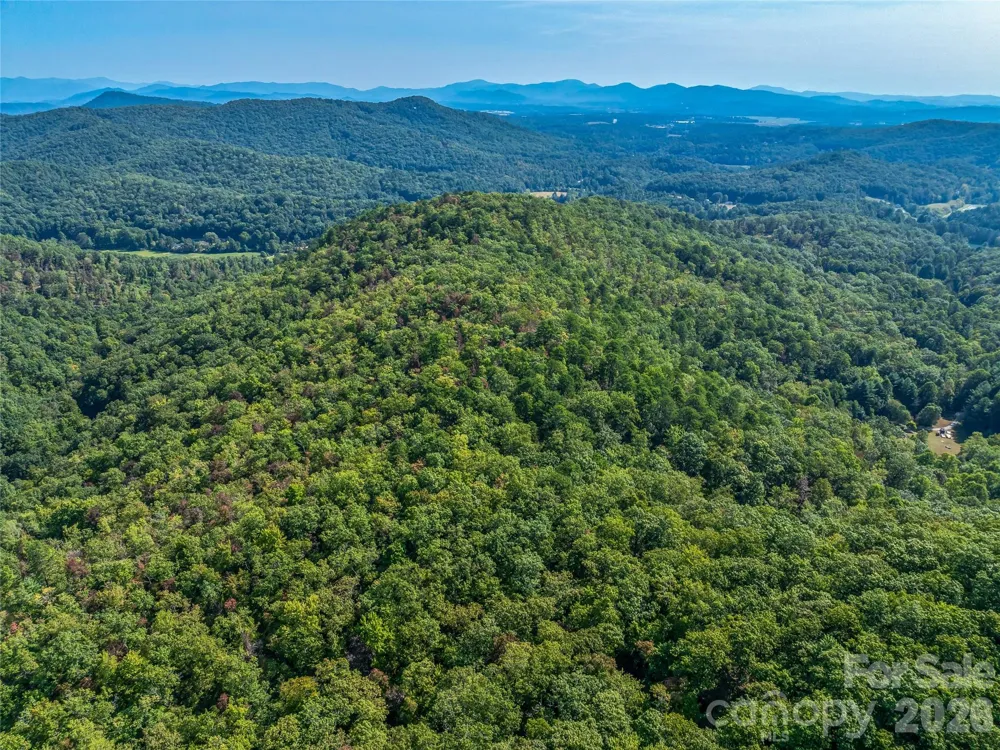 567 Davey Branch Road Horse Shoe, NC 28742