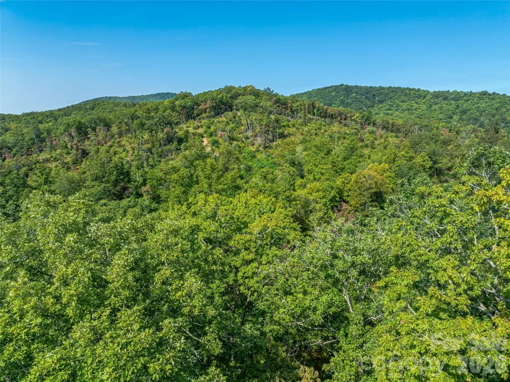 567 Davey Branch Road Horse Shoe, NC 28742