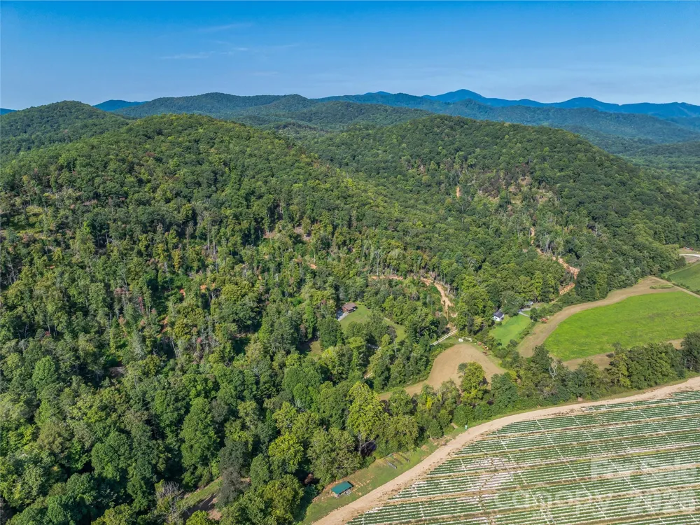 567 Davey Branch Road Horse Shoe, NC 28742