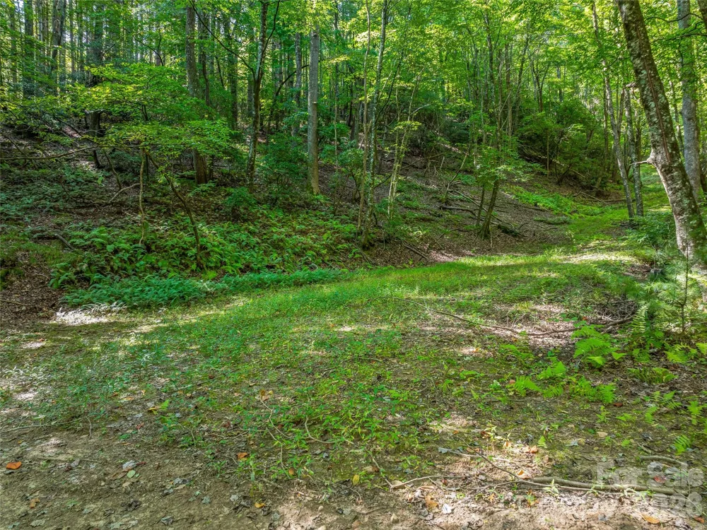 567 Davey Branch Road Horse Shoe, NC 28742