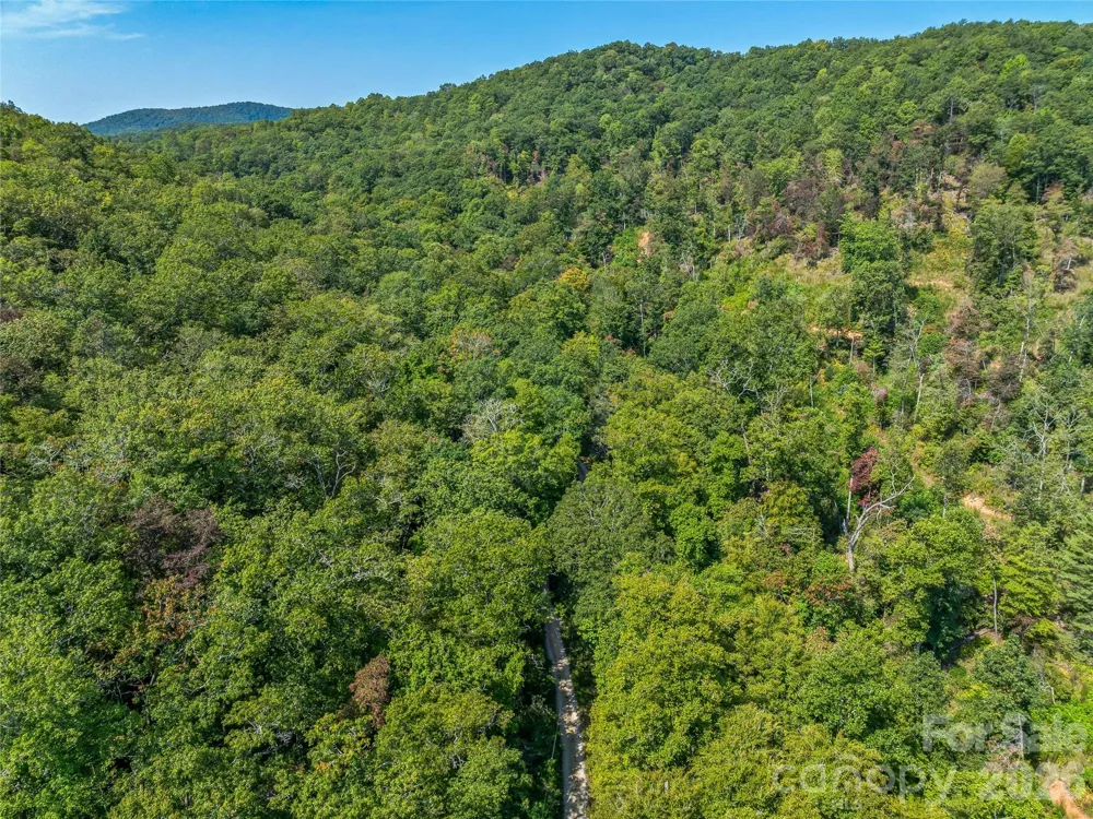 567 Davey Branch Road Horse Shoe, NC 28742