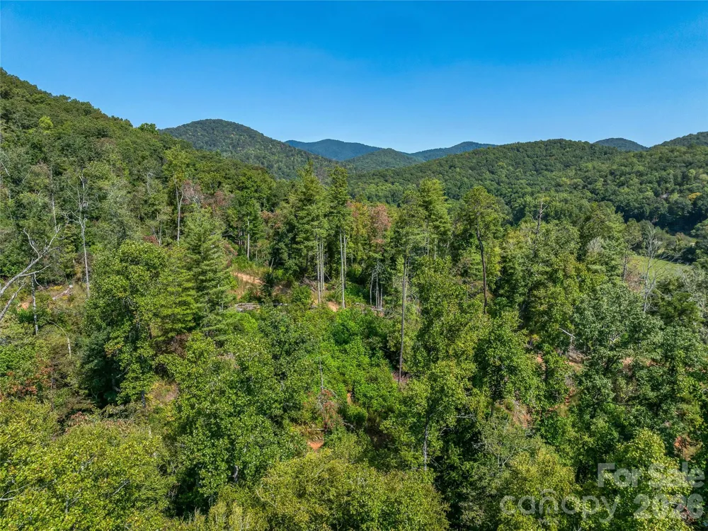 567 Davey Branch Road Horse Shoe, NC 28742