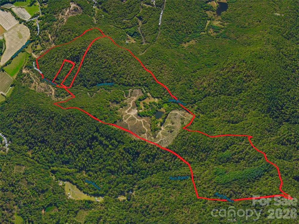 567 Davey Branch Road Horse Shoe, NC 28742