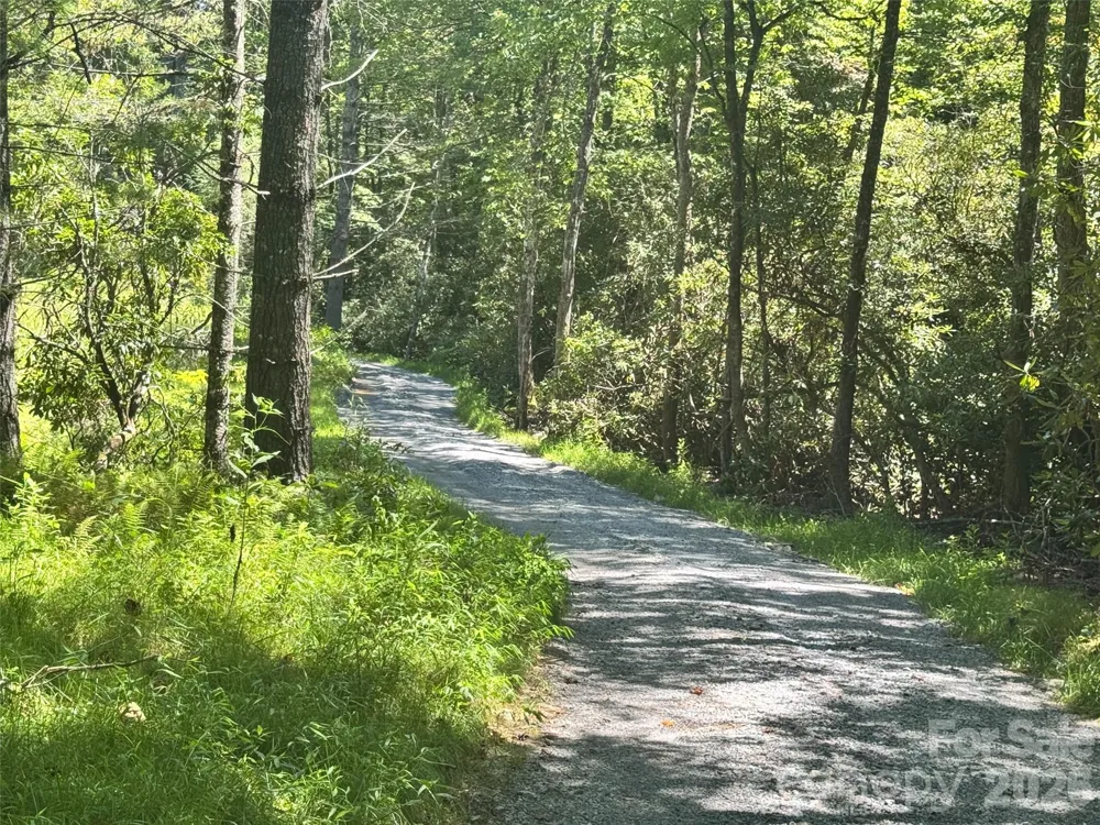 567 Davey Branch Road Horse Shoe, NC 28742
