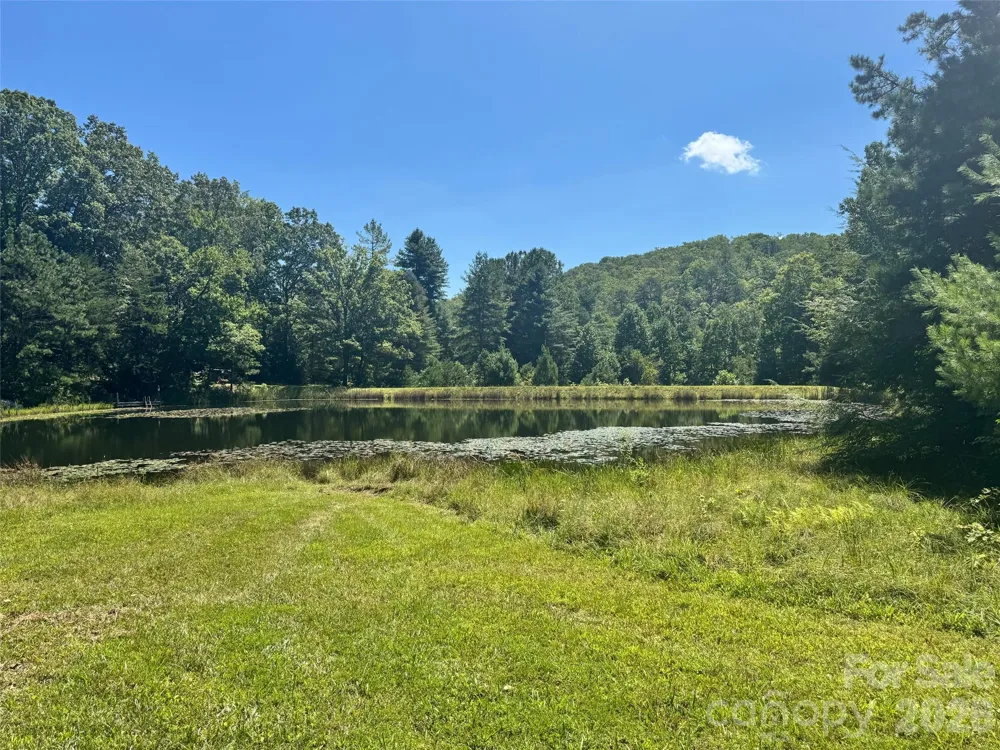 567 Davey Branch Road Horse Shoe, NC 28742