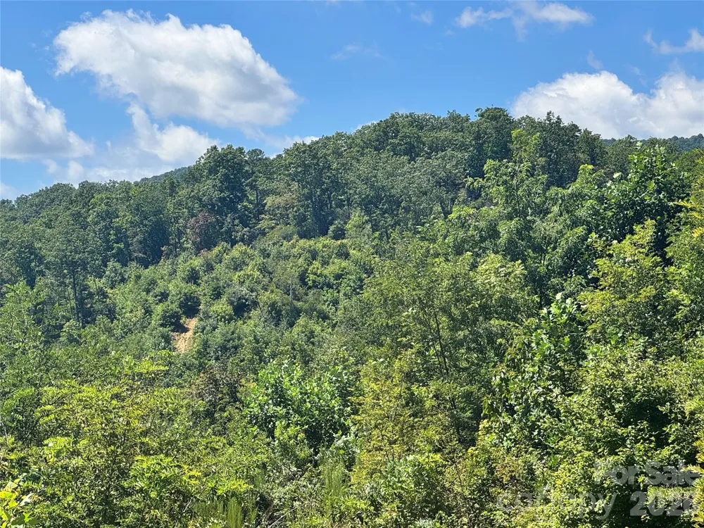 567 Davey Branch Road Horse Shoe, NC 28742