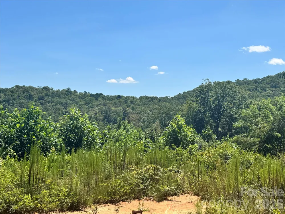 567 Davey Branch Road Horse Shoe, NC 28742