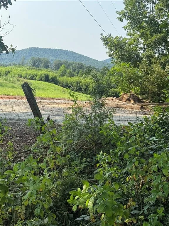 0 Ridgemont Lane Ellijay, GA 30536