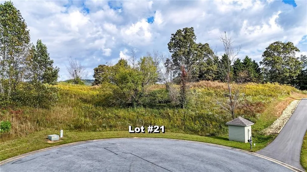 0 Ridgemont Lane Ellijay, GA 30536