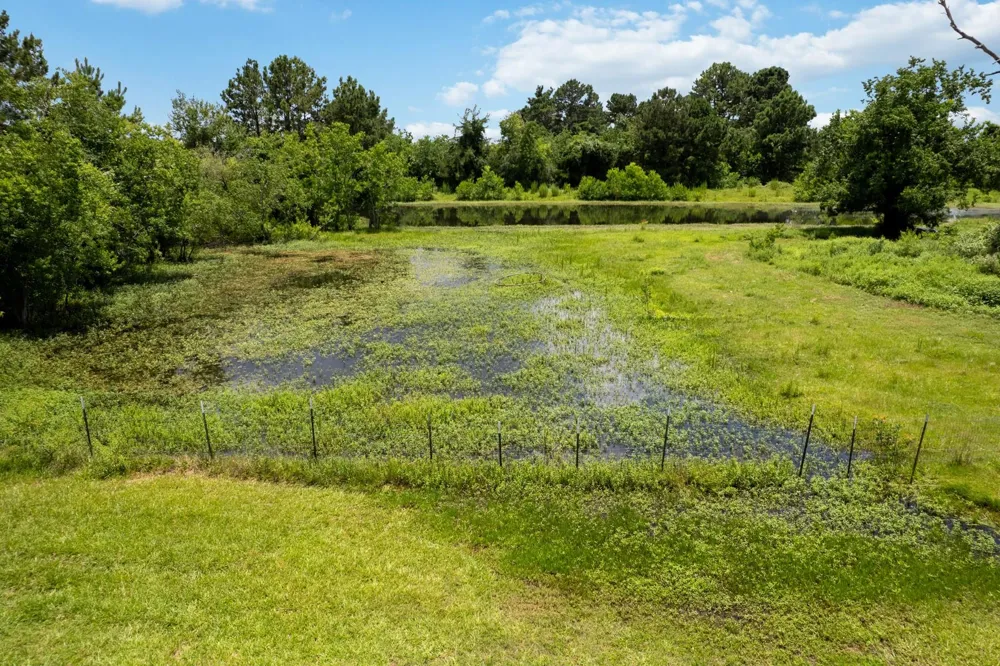 16631 Fm 2920 Road Tomball, TX 77377