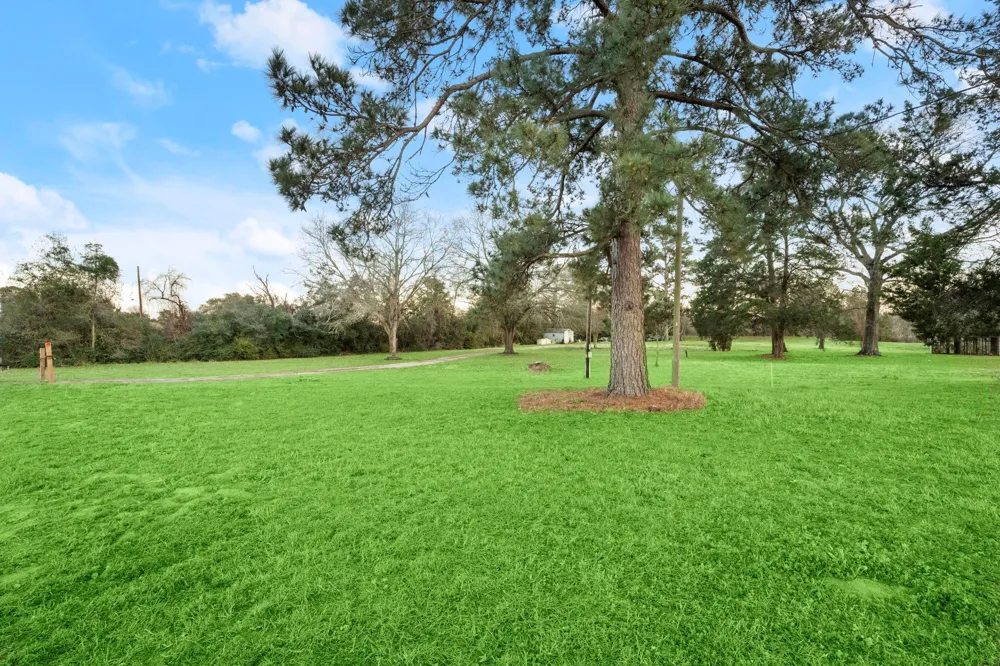 16631 Fm 2920 Road Tomball, TX 77377