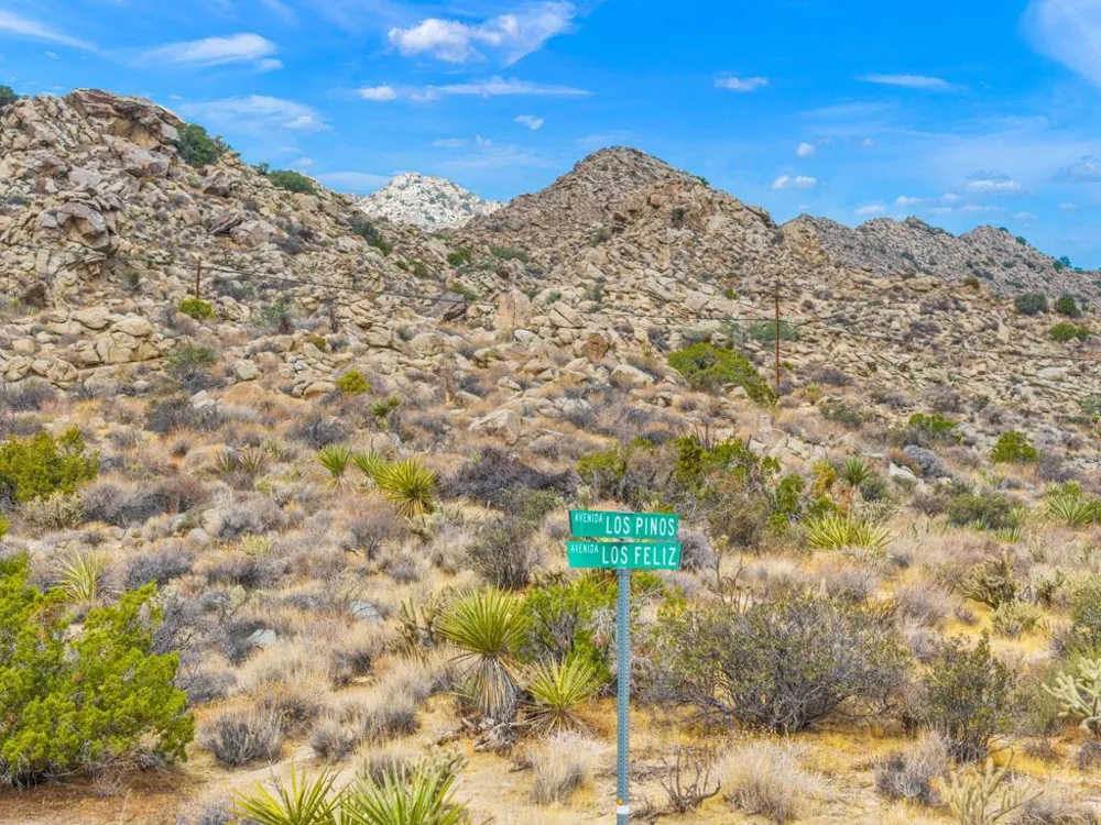 Avenida Los Feliz Mountain Center, CA 92561