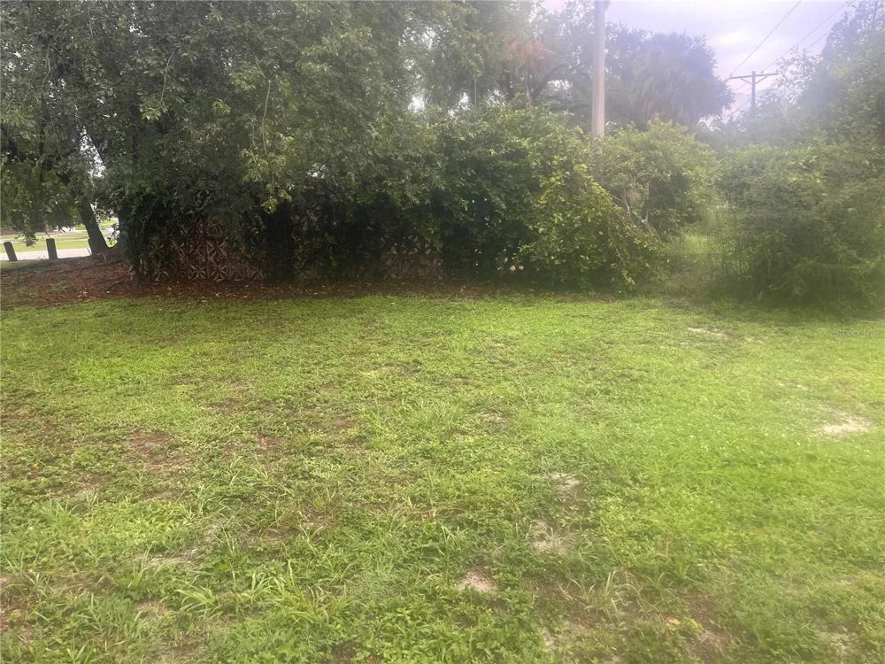 33855 MANDRAKE ROAD Wesley Chapel, FL 33543