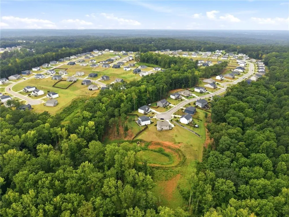 462 Sylvie Drive McDonough, GA 30252
