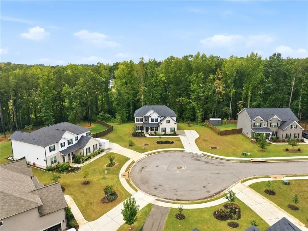 462 Sylvie Drive McDonough, GA 30252
