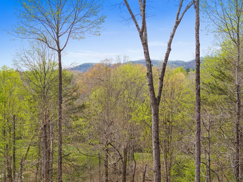 1134 Maggie Chapman Road Blue Ridge, GA 30513
